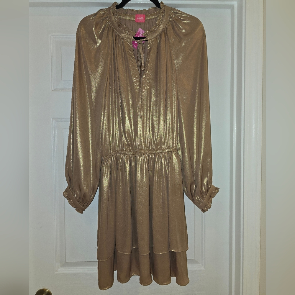 Coast Gold Mini Long Sleeve Dress
